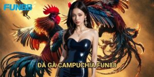 Đá gà Campuchia Fun88 đẳng cấp - Sân chơi quốc tế uy tín 5 Đá gà Campuchia Fun88 đẳng cấp - Sân chơi quốc tế uy tín