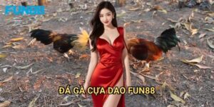Đá gà cựa dao Fun88 máu lửa - Đấu trường không khoan nhượng 2 Đá gà cựa dao Fun88 máu lửa - Đấu trường không khoan nhượng