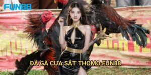 Đá gà cựa sắt Thomo Fun88 kịch tính - Trận chiến đẳng cấp cao 6 Đá gà cựa sắt Thomo Fun88 kịch tính - Trận chiến đẳng cấp cao
