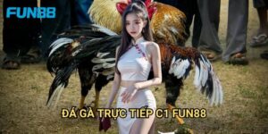 Đá gà trực tiếp C1 Fun88 đỉnh cao - Giải đấu hạng nhất 4 Đá gà trực tiếp C1 Fun88 đỉnh cao - Giải đấu hạng nhất