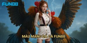 Màu mạng đá gà Fun88 chính xác - Cược theo màu dây đeo 3 Màu mạng đá gà Fun88 chính xác - Cược theo màu dây đeo